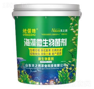 海藻微生物菌劑-地保珠-天之然