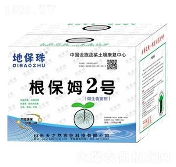 根保姆2號-地保珠-天之然