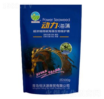 動(dòng)力海藻-恒沃源