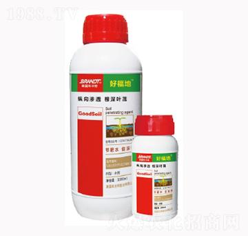 �ø���-¡�ꠖ