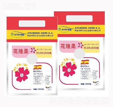 ��¡��-¡�ꠖ