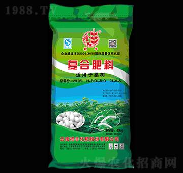 ɣ���m�ÏͺϷ���24-0-5-��S-���S���F