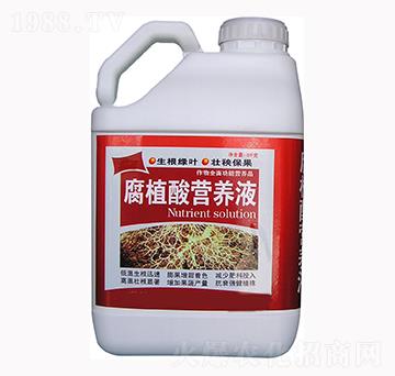 ��ֲ��I(y��ng)�B(y��ng)Һ-��������