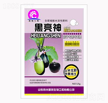 茄子專(zhuān)用葉面肥-黑亮神-晨晟生物