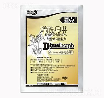 50%ϩ������-¶��-������