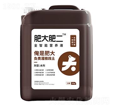 6kg全智能營(yíng)養(yǎng)液-肥大肥二-鑫天蘭農(nóng)業(yè)