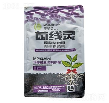 淡紫紫孢菌-菌線靈-鑫天蘭農(nóng)業(yè)