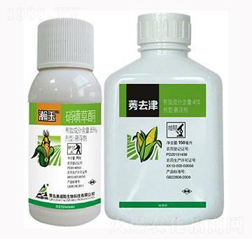 6%���ǲ�ͪ-���-������