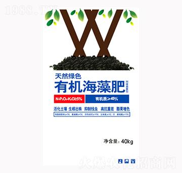 有機海藻肥-金滿倉