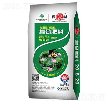 ɏź�m�ÏͺϷ���20-8-20-�@��-������