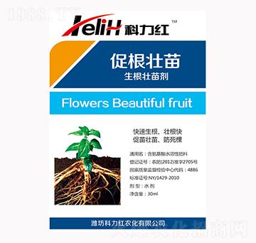生根壯苗劑-科力紅-利瑪生物