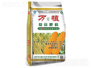 有機(jī)長效型復(fù)合肥24-11-8-萬植2號(hào)