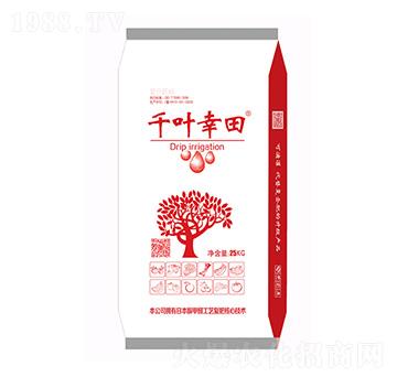 千葉幸田功能肥-起家