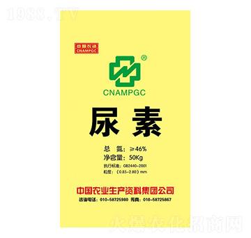 ����-���r(n��ng)�r(n��ng)�Y