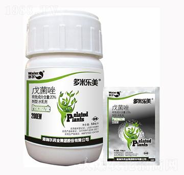 20%�����-���ט�(l��)��-������