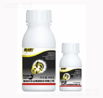 金黑光燈-海利爾