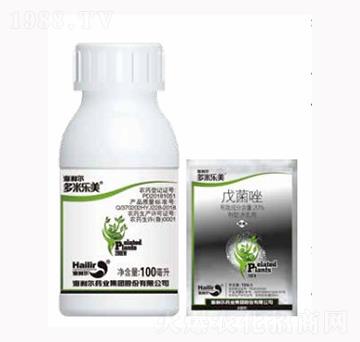 多米樂美-海利爾