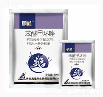 60%���Ѽ׭h(hu��n)��-�T��-������