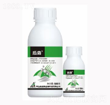 40%�����Ѿ���-��˪-������