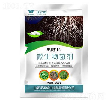 ΢�������-؞��Ƭ-�֠���(y��u)