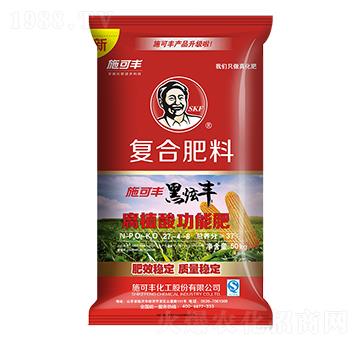 ���׌��ÏͺϷ���27-4-6-�����S-ʩ���S