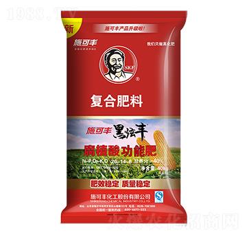 ���׌�(zhu��n)�Ï�(f��)�Ϸ���20-14-6-�����S-ʩ���S