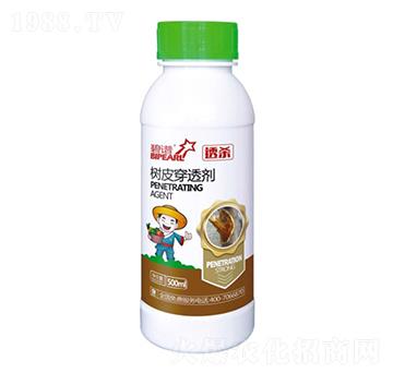 ͸����Ƥ��͸��-������r(n��ng)