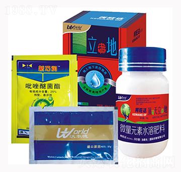 立滿地-柯旺達(dá)-沃爾德