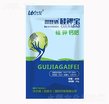 硅鉀寶-柯旺達(dá)-沃爾德