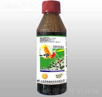 500ml菊花活力膨大劑-一噴大-賽陽(yáng)農(nóng)化