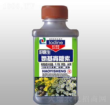 菊花專(zhuān)用氨基寡糖素-好醫(yī)生-賽陽(yáng)農(nóng)化