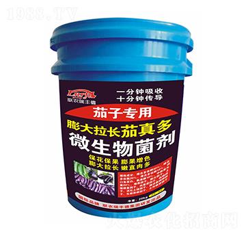 茄子專用膨大拉長茄真多-聯(lián)農(nóng)瑞豐德