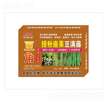 豆角純進口專用授粉座果豆?jié)M藤-聯(lián)農(nóng)瑞豐德