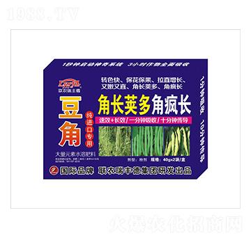 豆角純進(jìn)口專用角長(zhǎng)莢多角瘋長(zhǎng)-聯(lián)農(nóng)瑞豐德