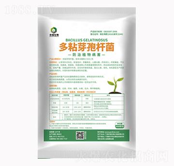 多粘類(lèi)芽孢桿菌-農(nóng)保生物