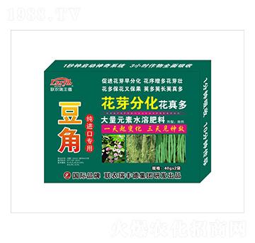 豆角純進口專用花芽分化花真多-聯農瑞豐德