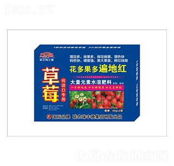 大量元素水溶肥-草莓專用-花多果多遍地紅-瑞豐德