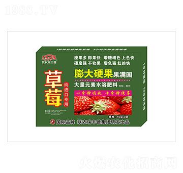 大量元素水溶肥-草莓專用-膨大硬果果滿園-瑞豐德