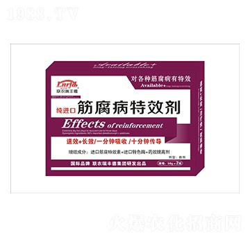 農(nóng)肥-純進口筋腐病高效劑-瑞豐德