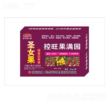 ����Ԫ��ˮ�ܷ�-ʥŮ�����M�ڌ���-�������M�@-���S��