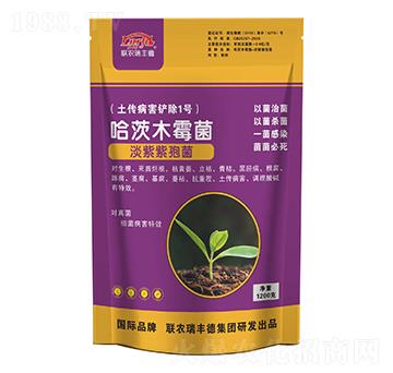 ����ľù��-���S��