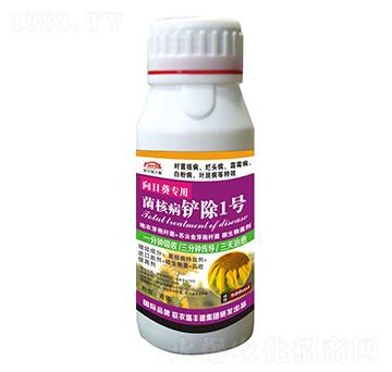 ΢�����-���տ�����-���˲��P��1̖(h��o)-���S��