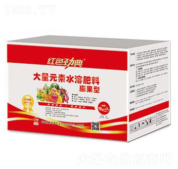膨果型大量元素水溶肥-紅色勁典
