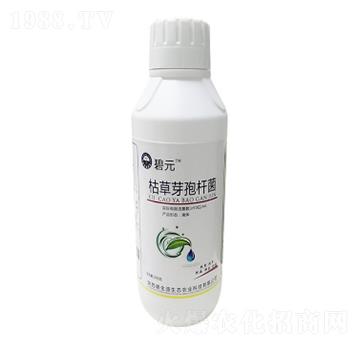 ��Ԫ�ݲ�ѿ�ߗU��-�|�r�߿�