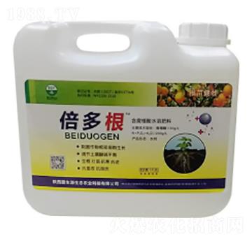 �����-�|�r�߿�