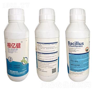 ����ѿ�ߗU��-���|��-�|�r�߿�