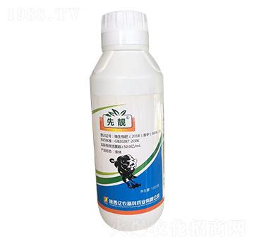 �ݲ�ѿ�ߗU��-���n-�|�r�߿�