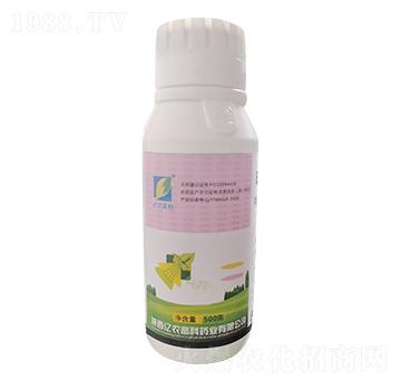 500g�׻�����`-�|�r�߿�