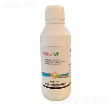 1000g�����������}-������-�|�r�߿�