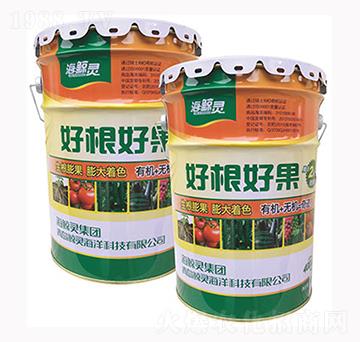 好根好果-海鯨靈